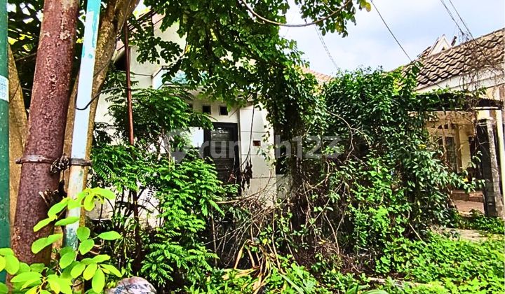 Rumah Di Jalan Boulevard Kawasan Cluster Meadow Green Lippo 1