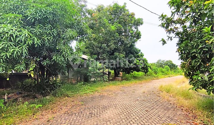 Ex Gudang Sukaraya Karangbahagia Cikarang Utara - Pinggir Jalan Raya