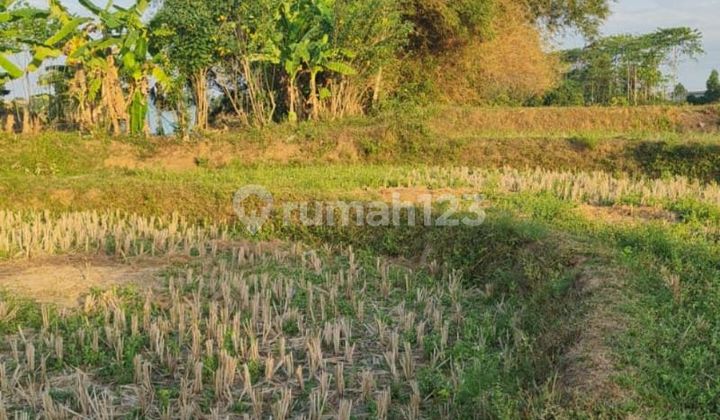 Tanah Investasi di Cilangkara SHM