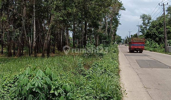 Tanah Komersil di Tigaraksa 2