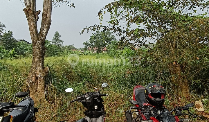 Land for Light Industry and Housing Land for Light Industry and Housing