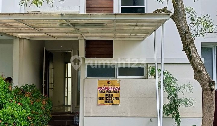 House for Rent in Bsd