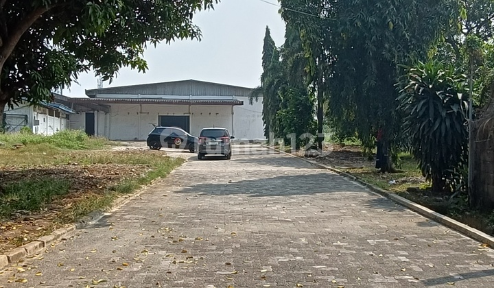 Ready-to-Use Ex-Factory in Industrial Zone