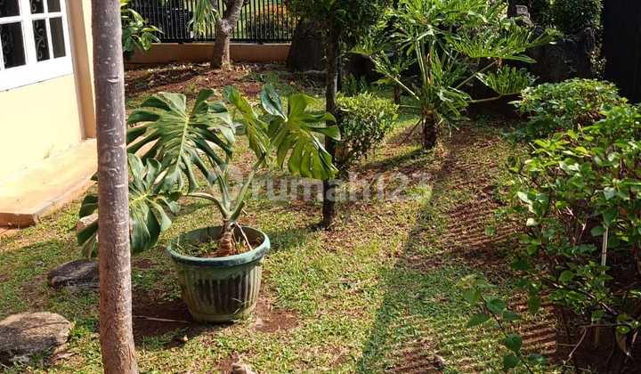 Rumah Cantik + Hook Di Taman Anggrek / Alfa Jakarta Barat