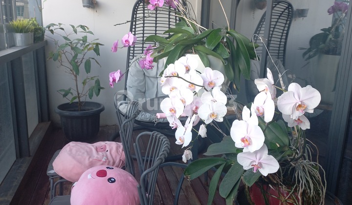 , Apartemen 4 Kamar District 8 Scbd,( Ashta.mall Senopati , Jakarta 2