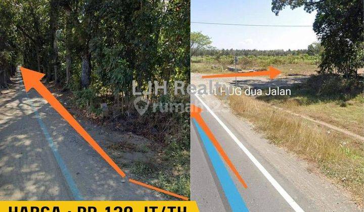 DISEWAKAN  Tanah Jalan Daendels FULL PEKARANGAN 1