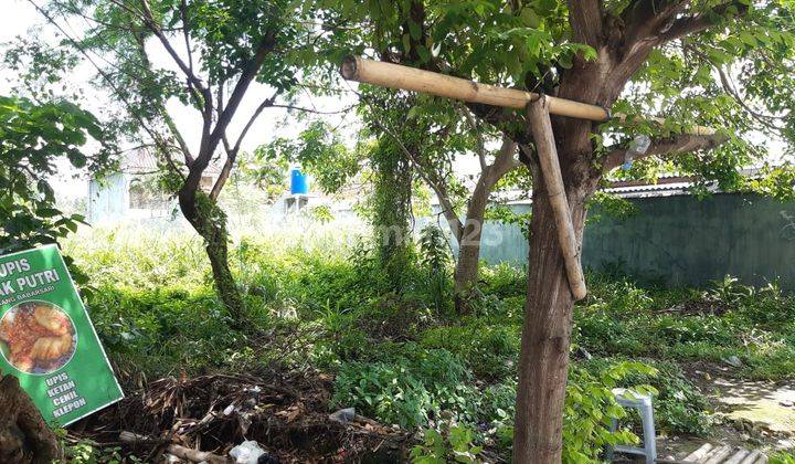 Tanah Pinggir Jalan Nangka Pugeran Dalam Ringroad Maguwoharjo 3