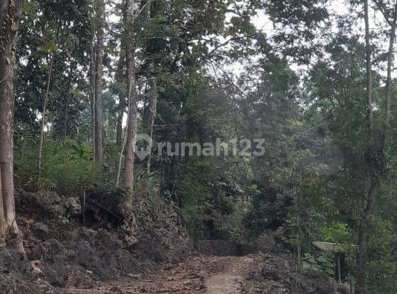 Dijual Cepat Tanah Pinggir Pantai Bu SHM  2