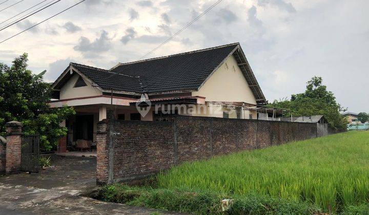 Rumah Prambanan , Sleman 2