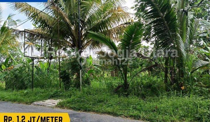 Tanah Pertanian Staregis Cocok Untuk Usaha Kuliner di Hargobinangun Yogyakarta  1