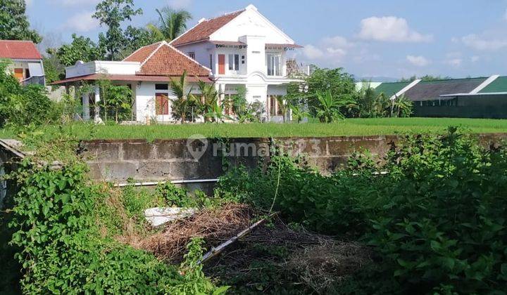 Rumah Sedayu Jl Wates Halaman Luas Harga Pasar Dekat Kampus  2