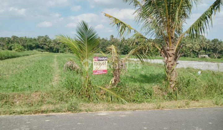 Dijual Tanah Sawah Lokasi Dsn Klumprit, Caturharjo, Sleman 2