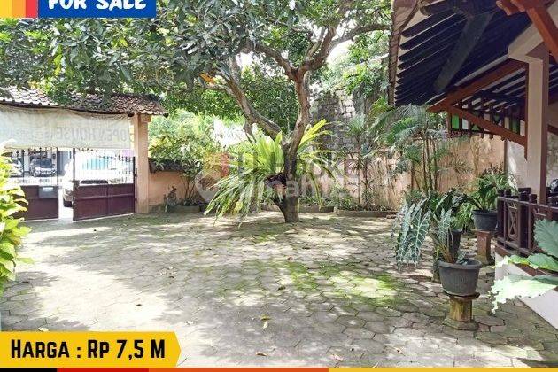 Dijual Rumah Asri Dan Halaman Luas, Pinggir Jalan Ring Road Timur Maguwo  1