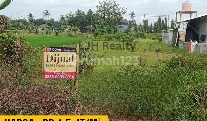 For Sale A Plot of Land For Sale A Plot of Land