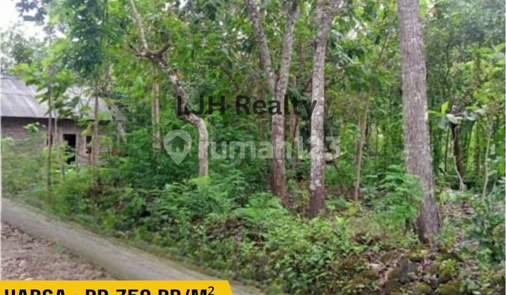 For Sale Cheap Hook Land, 2 Faces Location Sedayu