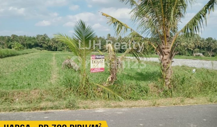 DiJual Tanah SAWAH DiJual Tanah SAWAH