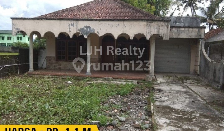 Rumah Sedayu Jl Wates Halaman Luas Harga Pasar Dekat Kampus 