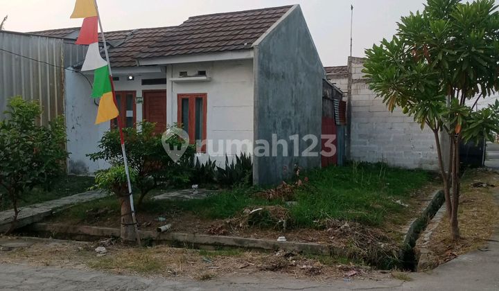 Take Over Rumah Subsidi Lt 90M2 Bekasi Tambun Utara Rumah Butuh Minim Renovasi HGB di Perumahan Arafah Residence, Srimahi, Tambun Utara, Bekasi, Jawa Barat, Bekasi, Tambun Utara, Srimahi, Jawa Barat, 17510, Tambun Utara Take Over Rumah Subsidi Lt 90M2 Bekasi Tambun Utara Rumah Butuh Minim Renovasi HGB di Perumahan Arafah Residence, Srimahi, Tambun Utara, Bekasi, Jawa Barat, Bekasi, Tambun Utara, Srimahi, Jawa Barat, 17510, Tambun Utara