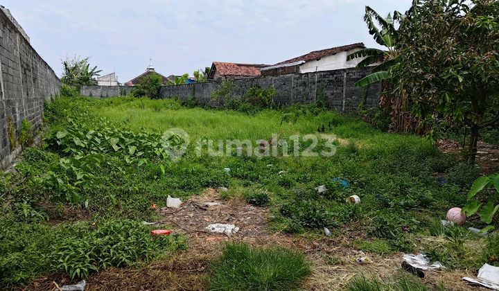 Tanah Siap Bangun di Jalan Wijaya Kusuma Ditotrunan Lumajang