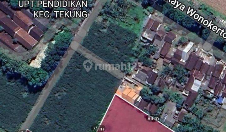 Tanah Di Samping Smp Tekung Wonokerto Lumajang 1