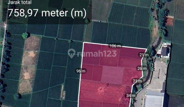 Tanah Strategis Di Raya Jalan Lintas Timur Jogoyudan Lumajang 1