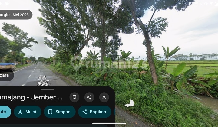 Tanah Murah di Raya Provinsi Wonokerto Tekung Lumajang