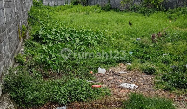 Tanah Siap Bangun di Jalan Wijaya Kusuma Ditotrunan Lumajang