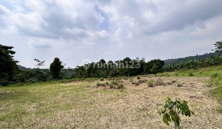 Jual Dan Investasi Tanah Kavling Bogor Timur Luas 141 M2 1