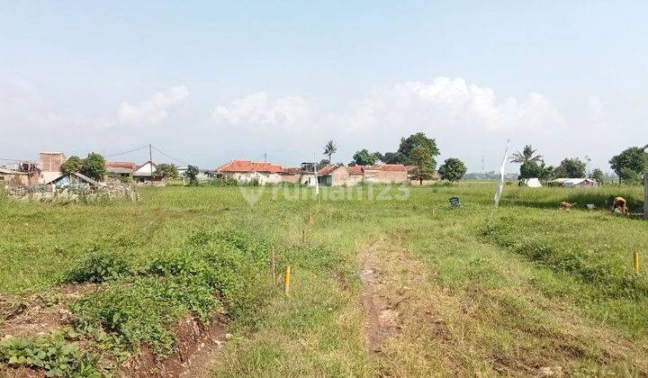 Kavling Luas Aman Dan Nyaman Bebas Banjir 1