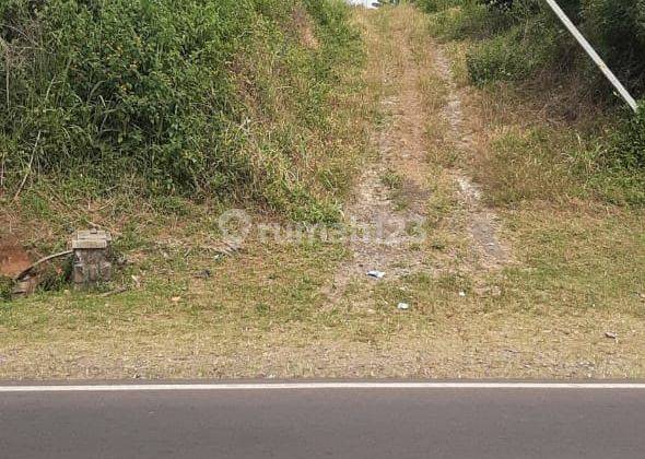 Tanah Luas Untuk Dijadikan Usaha Lokasi Perbatasan Purwakarta 1