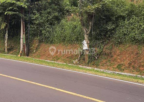 Tanah Luas Untuk Dijadikan Usaha Lokasi Perbatasan Purwakarta 4