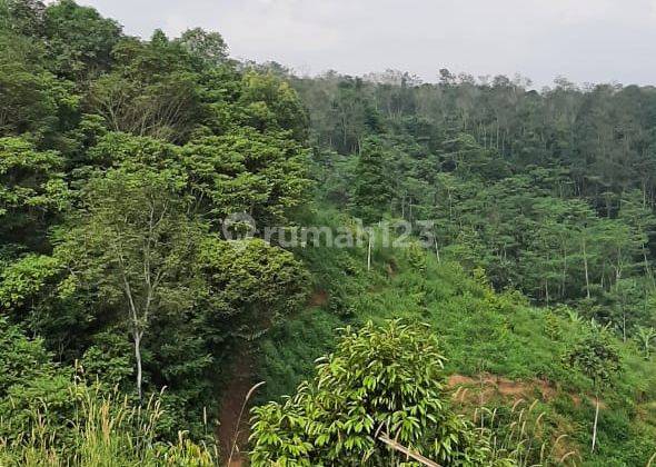 Jual Lahan Purwakarta Lokasi Strategis di Lokasi Berkembang 7