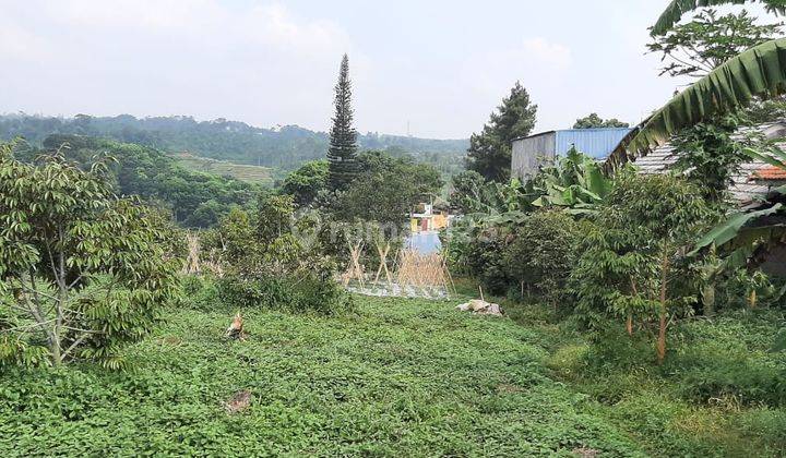 Jual Tanah Dengan Akses pinggir Jalan Nasional 6