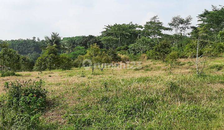 Jual Tanah Dengan Akses pinggir Jalan Nasional 8