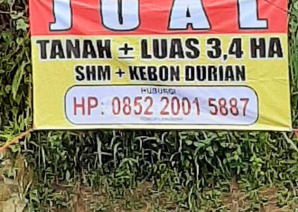 Ada Tanah Dekat Perbatasan Purwakarta Luas Mau Dijual 2