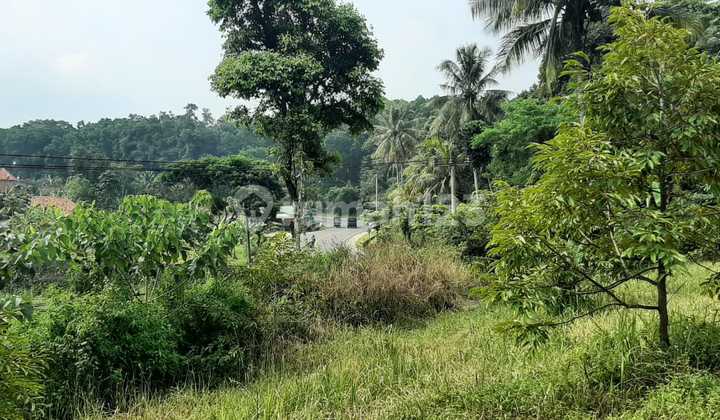 Ada Tanah Dekat Perbatasan Purwakarta Luas Mau Dijual 6