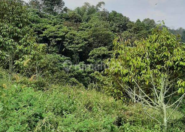 Ada Tanah Dekat Perbatasan Purwakarta Luas Mau Dijual 7
