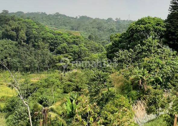 Ada Tanah Dekat Perbatasan Purwakarta Luas Mau Dijual 8