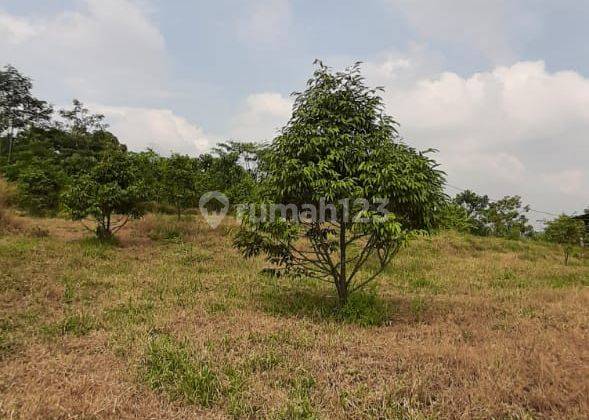 Tanah di Purwakarta Mau Dijual Langsung Tanpa Perantara 4
