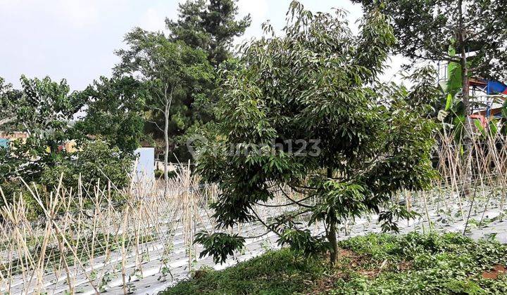 Tanah di Purwakarta Mau Dijual Langsung Tanpa Perantara 7