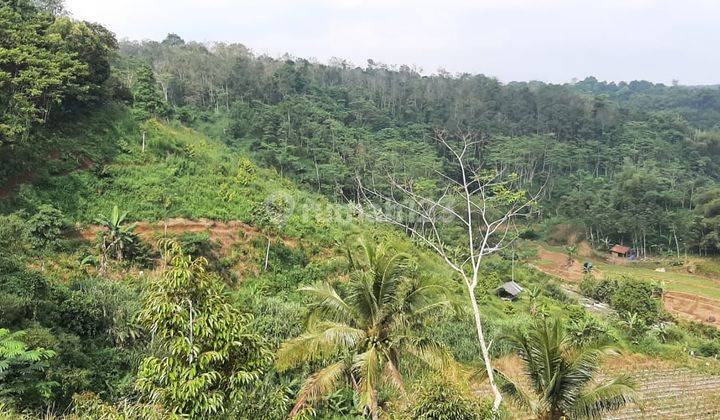 Tanah di Purwakarta Mau Dijual Langsung Tanpa Perantara 8