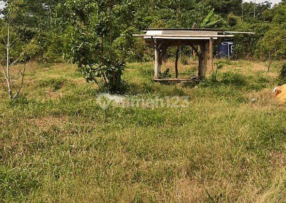 Tanah di Purwakarta Mau Dijual Langsung Tanpa Perantara 9