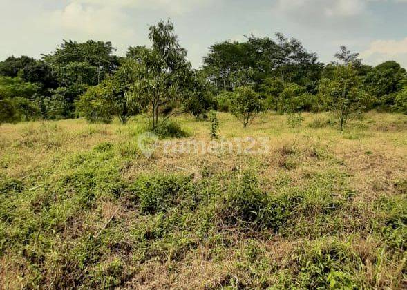Jual Lahan Dekat Perbatasan Purwakarta Harga Boleh Nego 4