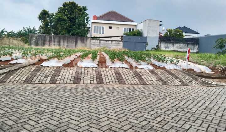 Kavling Cantik di Kawasan Sudah Ramai di Villa Serpong Tangerang 6