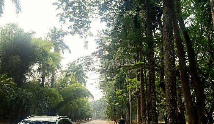 Kavling Cantik Dijual Di Bsd Bukit Golf View Lapangan Golf 2