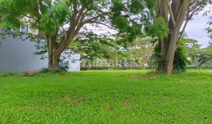 Main Road Land Plot at Blue Lake Alam Sutera Main Road Land Plot at Blue Lake Alam Sutera