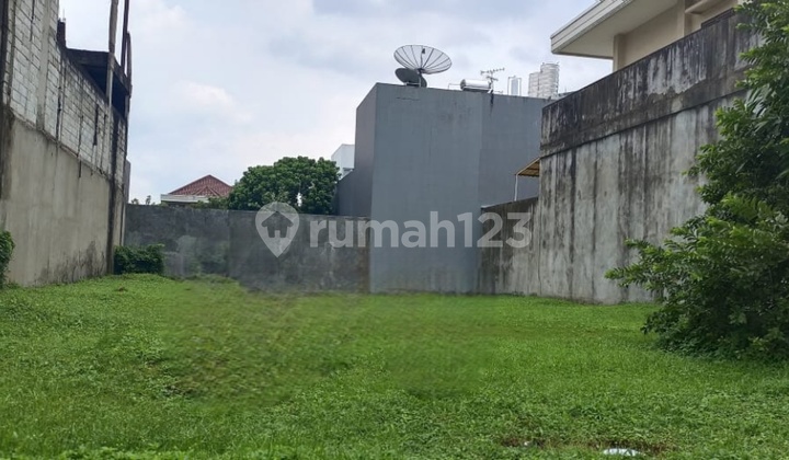 Tanah Dijual Jalur Boulevard Di Alam Sutera Lavender Tanah Dijual Jalur Boulevard Di Alam Sutera Lavender
