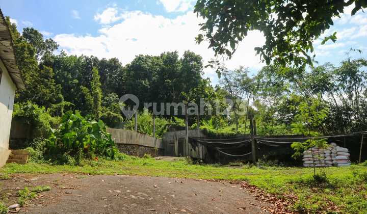 Wide Land in Ungaran 2