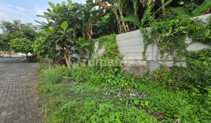 Kavling di Jalan Tambora 1