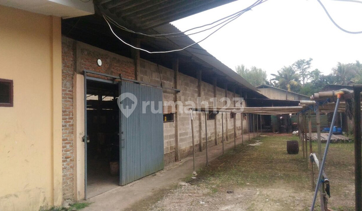 Dijual Ex Pabrik 2